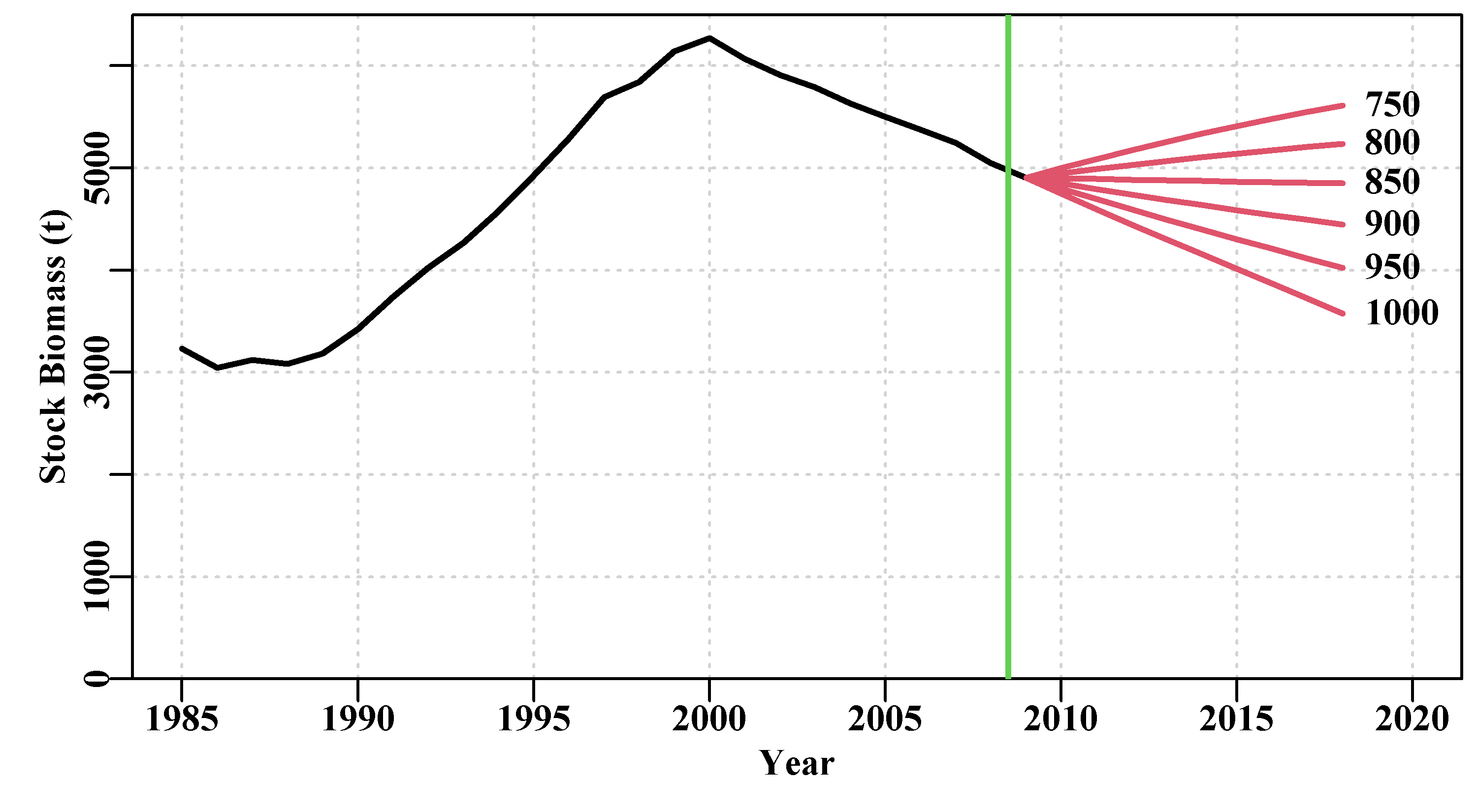 Deterministic constant catch projections of the optimum Fox model fit to the abdat data-set. the vertical green line is the limit of the data available and the red lines to the right of that are the main projections. The numbers are the constant catches imposed.